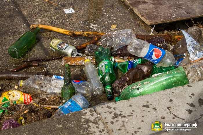 Чистить от мусора поверхность Городского пруда в период ЧМ-2018 будут ежедневно