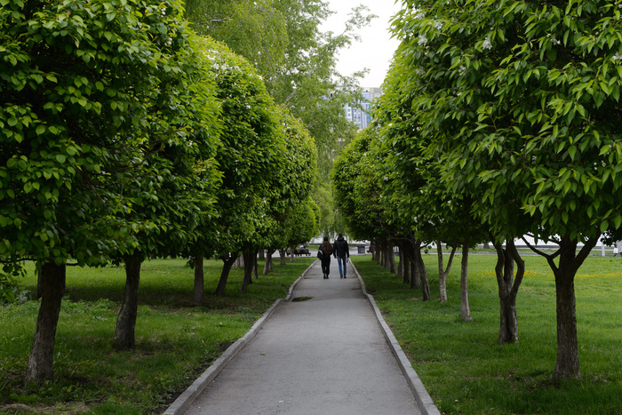 Два екатеринбургских парка получат деньги на благоустройство