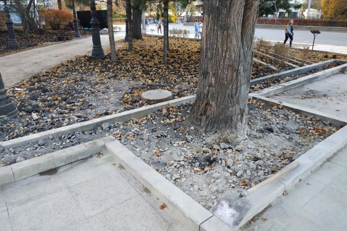 Известный общественник предложил ввести в Екатеринбурге полный запрет на рубку деревьев