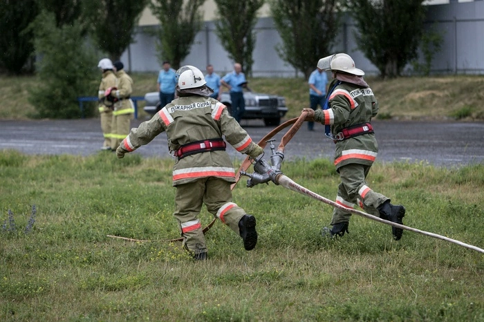 Осужденного по делу «Хромой лошади» сотрудника Госпожнадзора амнистировали