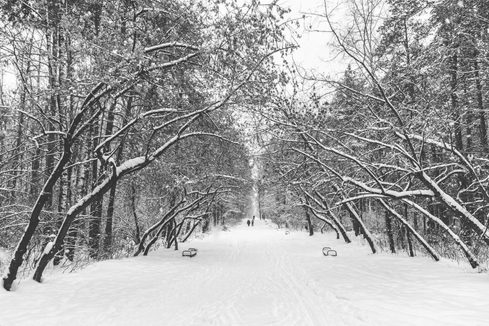 В городе ищут строителя велодорожек на Шарташе — предыдущий ушел со скандалом