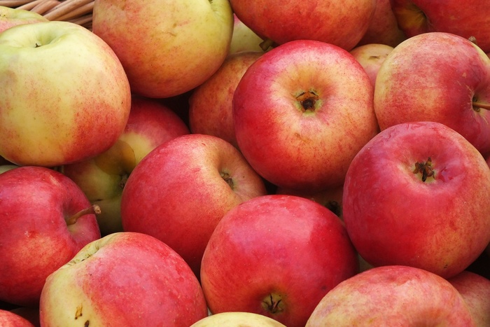 Уральские яблоки опередили конкурентов по полезности