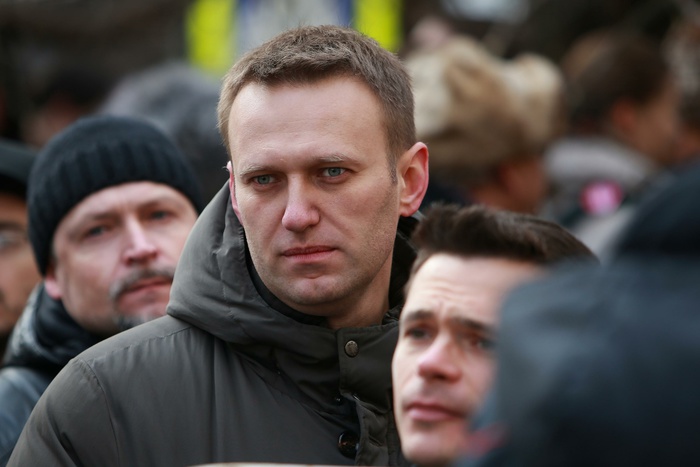 Владельцы подмосковных дач попросили защитить их от семьи Навального