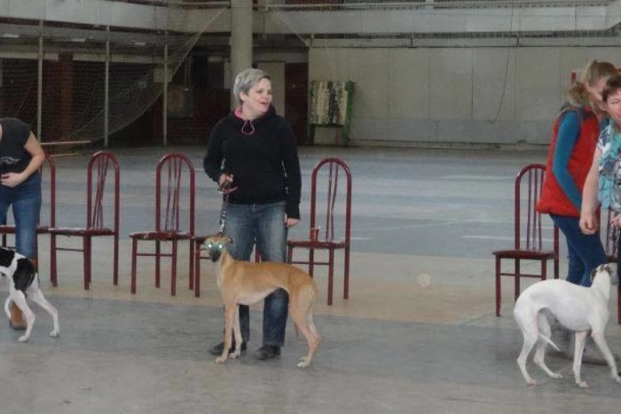 Свердловские власти отказались вернуть детей удалившей грудь екатеринбурженке