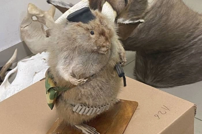 В Екатеринбурге пройдет трофейный охотничий форум