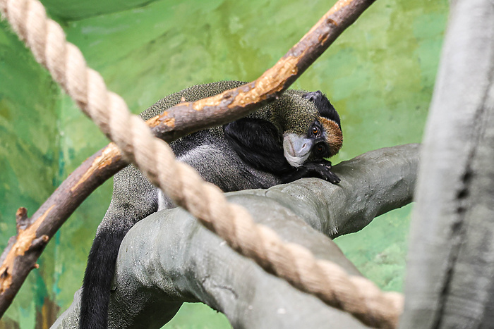 В Екатеринбургском зоопарке появились необычные жильцы — фото