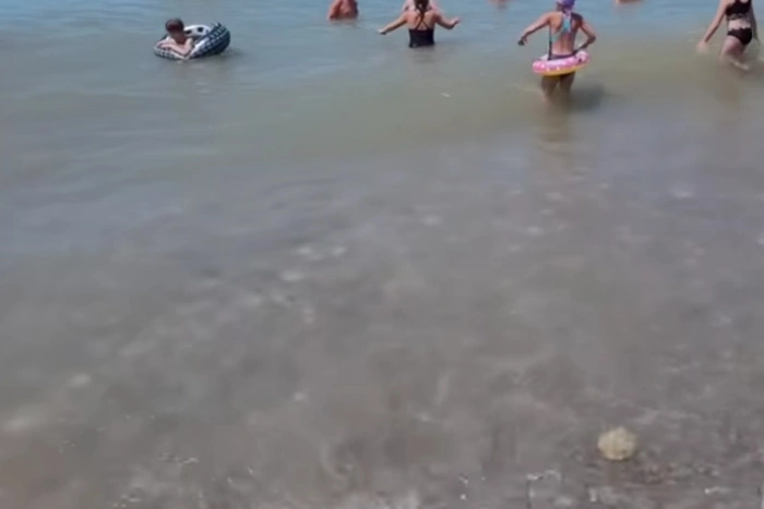 Ребенок из Екатеринбурга попал на ИВЛ после купания в Черном море в Сочи