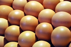 ФАС начала анализ цен на яйца по всей России