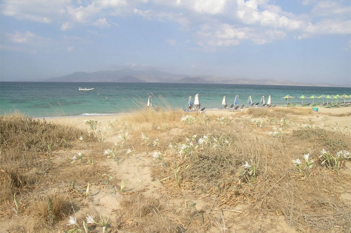 Россияне начали скупать греческую недвижимость