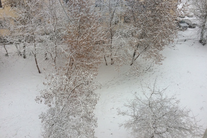 Екатеринбург засыпало снегом