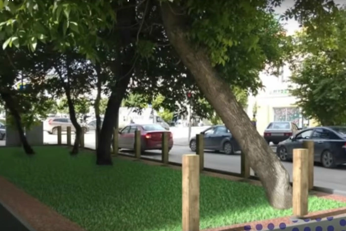 «Это чудо»: блоггер Варламов нашел в Екатеринбурге самый лучший газон