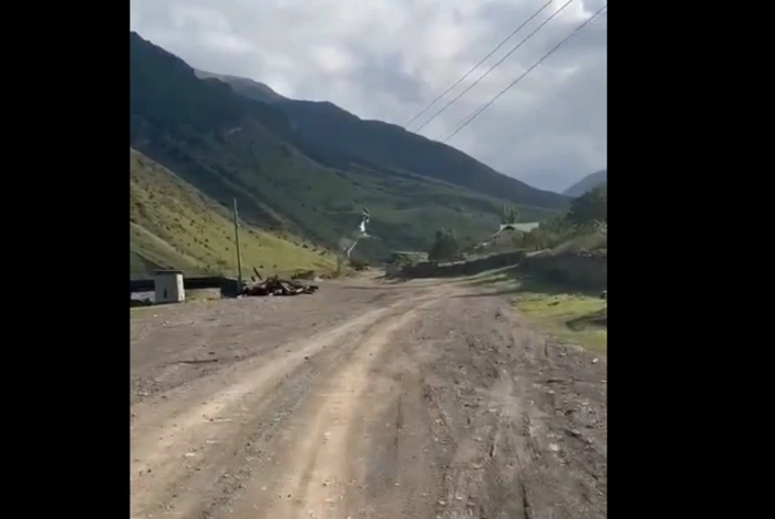 В Дагестане спасли козла, повисшего рогами на проводах (ВИДЕО)