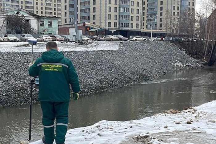 Росприроднадзор примет меры из-за раскопок у Царского моста