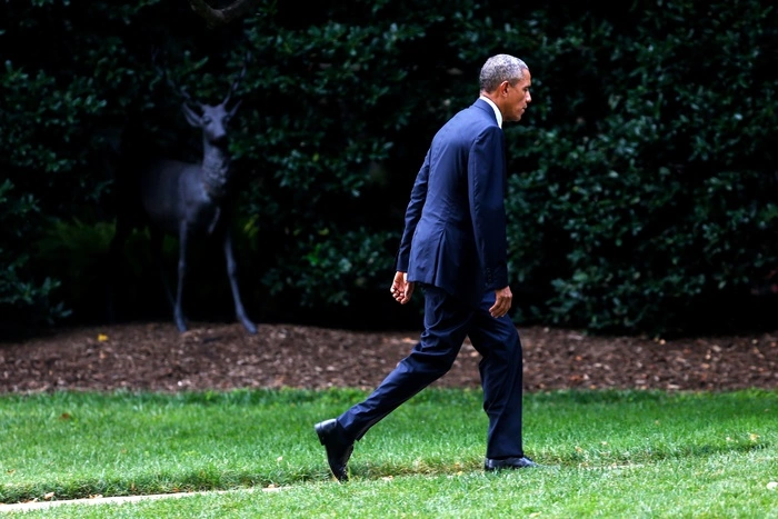 В Белом доме назвали условия телефонного звонка Обамы Путину