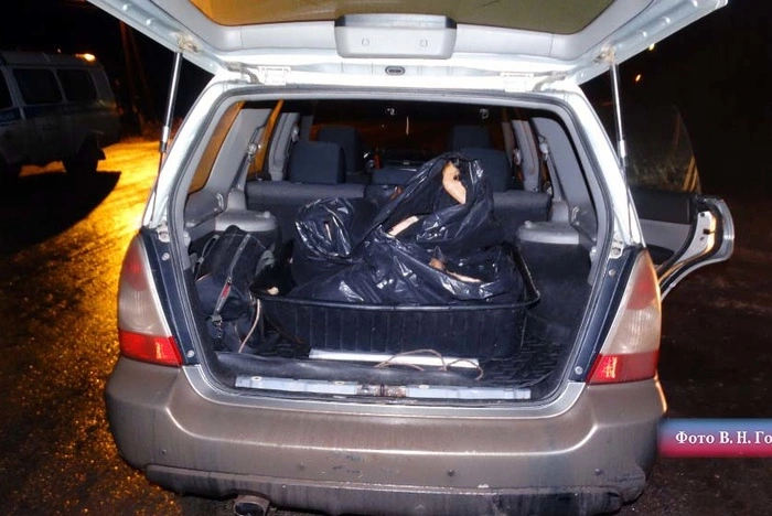 В Свердловской области задержали браконьеров, в чьих машинах были трупы животных