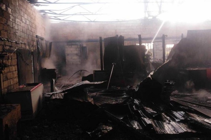 В Екатеринбурге сгорел приют для хаски