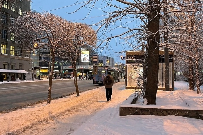 Главы районов города представили мэру карту будущих киосков в Екатеринбурге