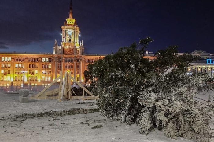 В Екатеринбург доставили 30-метровую ёлку для Ледового городка