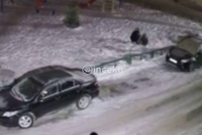 В Екатеринбурге неизвестный вырвал ёлку во дворе дома и убежал