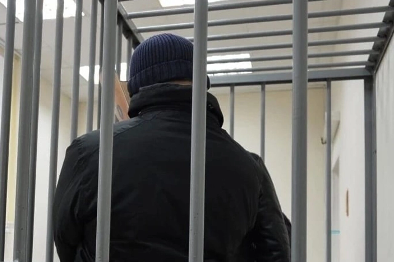 Подозреваемый в причинении побоев екатеринбургскому учёному помещён под стражу
