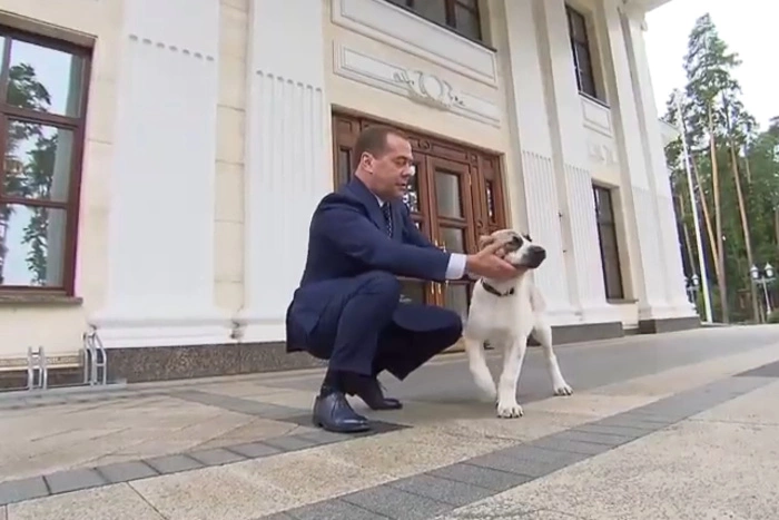 Медведев назвал политику Запада в отношении России «отвратительным коктейлем»