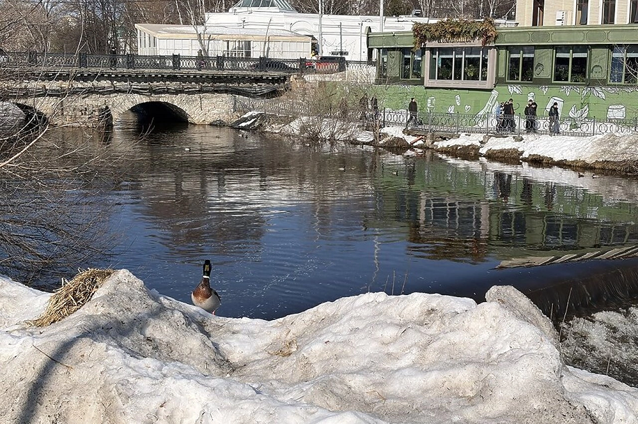 Мужчина утонул в реке Исеть в Екатеринбурге