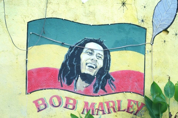 Ученые обнаружили у собак любовь к музыке рэгги