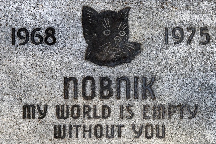 Британец похоронил жену на кладбище домашних животных