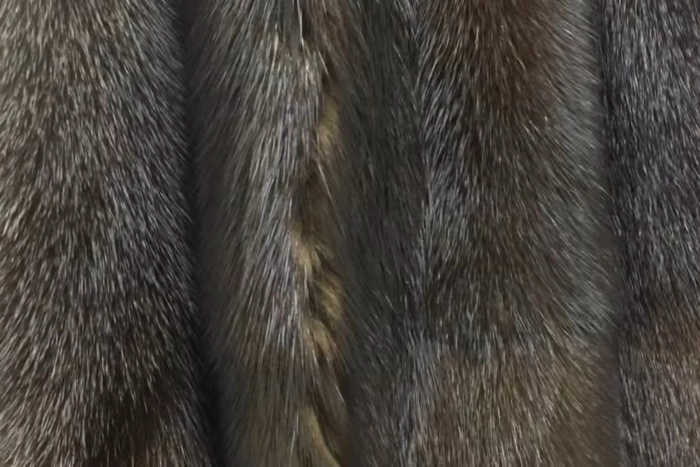 Уральцы массово выбрасывают натуральные шубы и дубленки на свалку