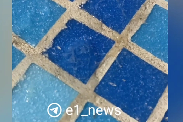 «Они копошились и расползались»: екатеринбуржцы обнаружили в бассейне сауны сгусток червей