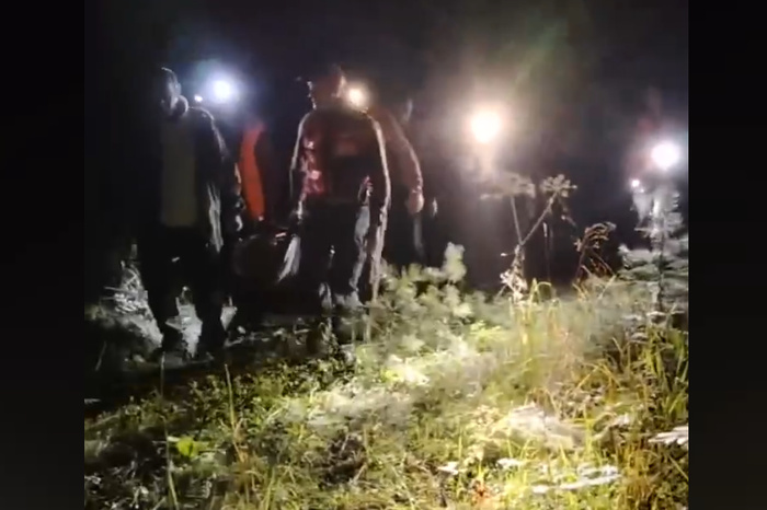 В лесу под Екатеринбургом нашли женщину, которую искали двое суток