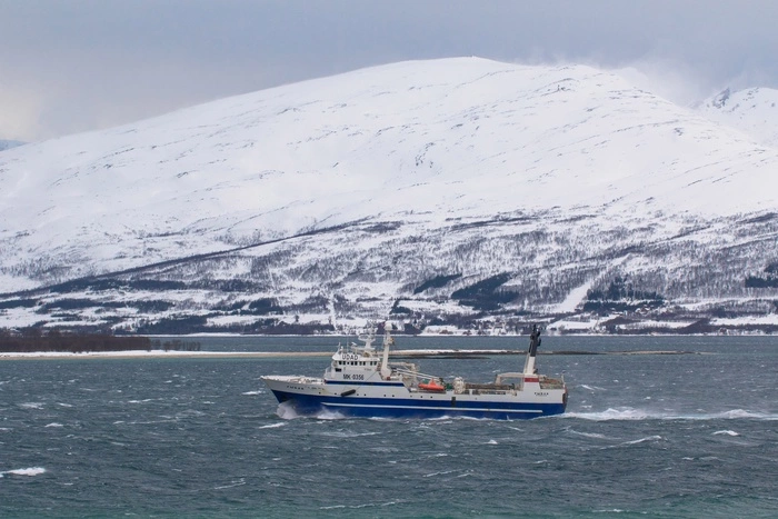 Иностранные моряки с «Дальнего Востока» взяты под арест