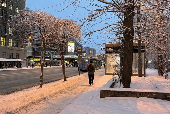 Орлов оправдал снос ларьков на остановке кратким ожиданием транспорта