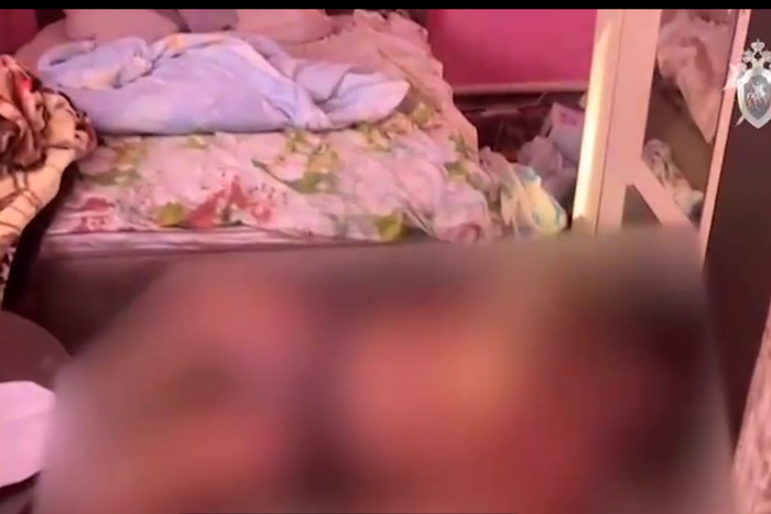 Убийцей семьи из трёх человек в Омской области оказалась 14-летняя дочь