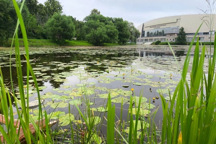 Мать подростка, которого пытались утопить из-за самоката двое мигрантов, рассказала о закрытии дел