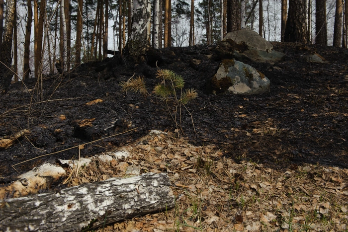 В Свердловской области отменяют особый режим