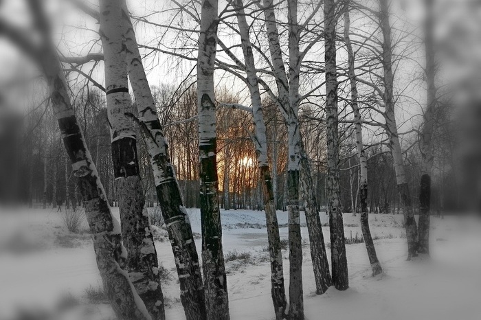 В Свердловской области ожидаются заморозки до -5 и сильный ветер