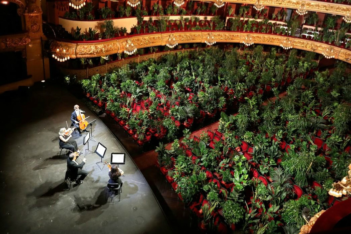 Оперный театр в Барселоне выступил с концертом для растений