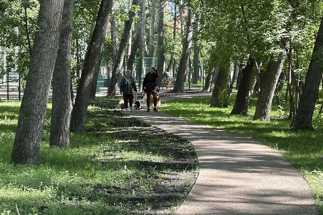 Парк, занявший в голосовании по программе ФКГС второе место, обновят в Екатеринбурге