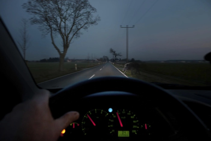 Водитель экс-губернатора Мишарина снова сел за руль