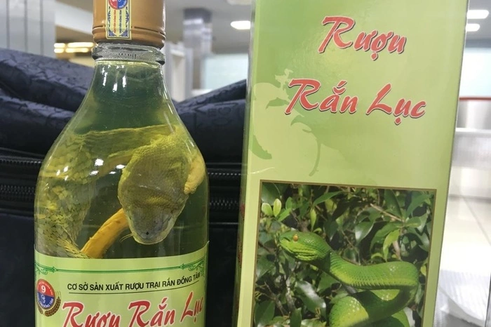 Кольцовские таможенники пресекли ввоз заспиртованных змей из Вьетнама