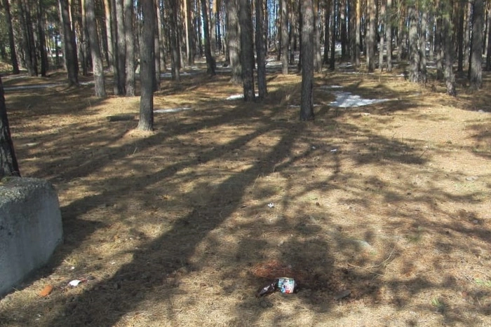 Умерла от кровопотери: в полиции прокомментировали гибель жестоко изнасилованной на Урале женщины