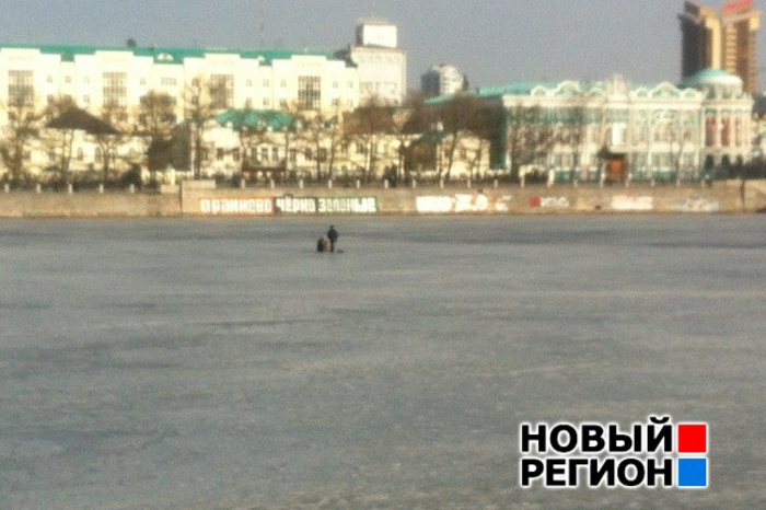 «Бессмертные» продолжают рыбачить на городском пруду Екатеринбурга