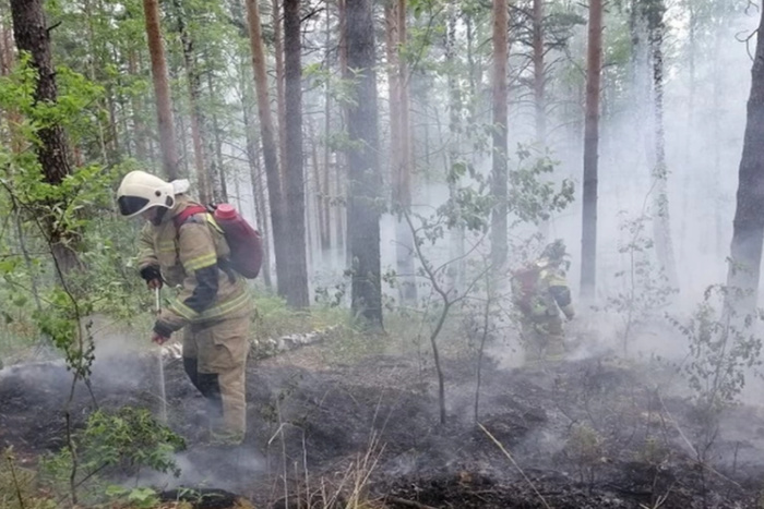 На выезде из Екатеринбурга горит лес