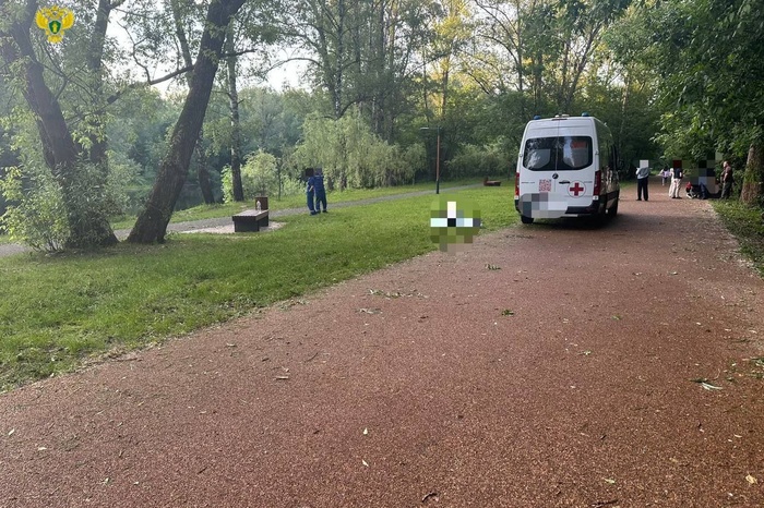 В московском парке мужчину убили на глазах у его внучек