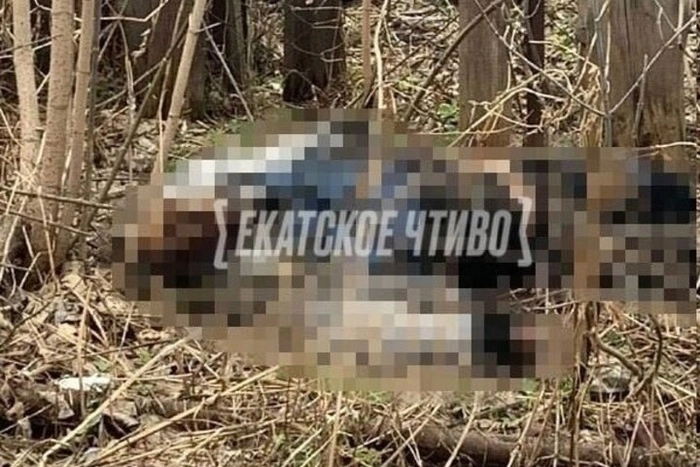 «Тело за автобусной остановкой»: возле екатеринбургских дач нашли мумию