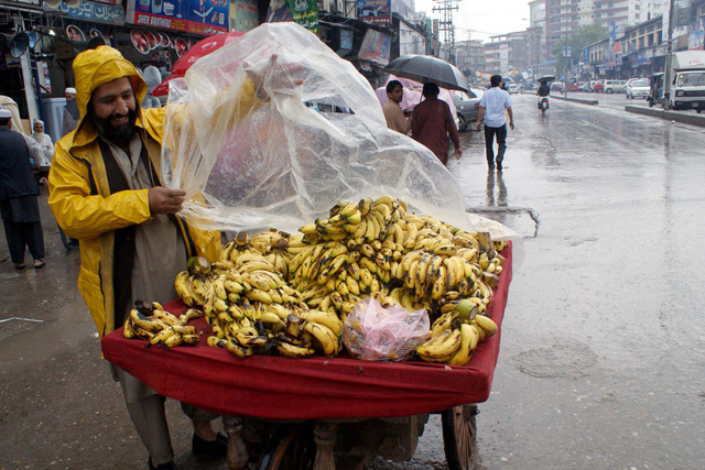 Стоимость бананов в российских магазинах достигла пятнадцатилетнего максимума