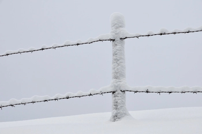 Под Оренбургом задержали сбежавшего из колонии при «Черном дельфине»