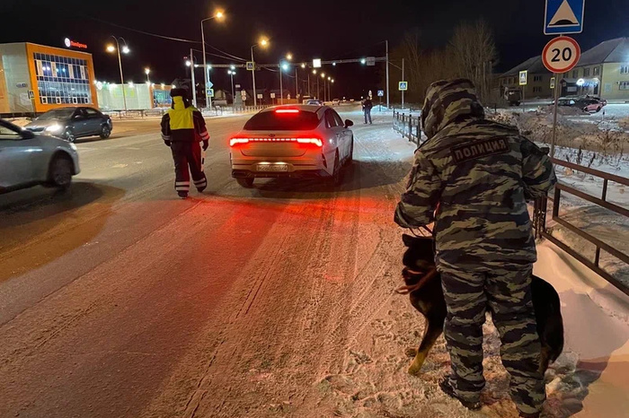 Полиция Екатеринбурга провела оперативно-профилактический рейд «Улица» в Горном щите