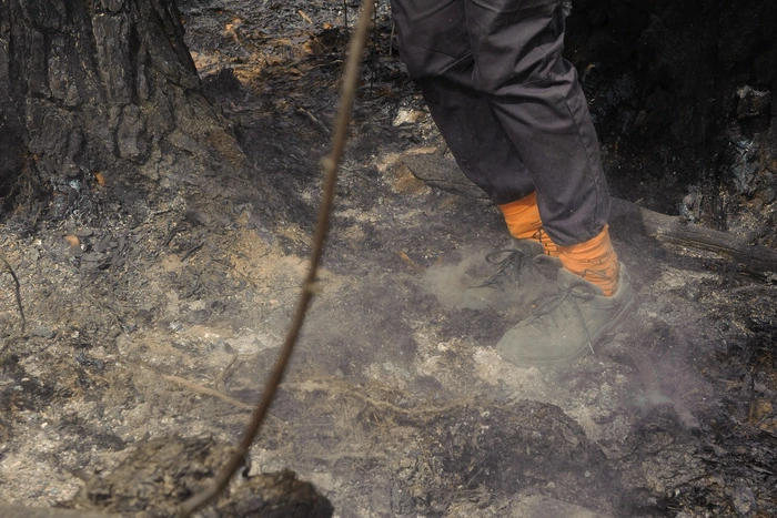 В Свердловской области потушили все природные пожары